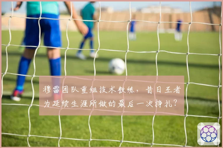 穆雷团队重组技术教练，昔日王者为延续生涯所做的最后一次挣扎？