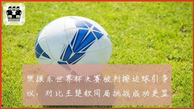 樊振东世界杯决赛被判擦边球引争议，对比王楚钦同局挑战成功更显判罚不公__br_